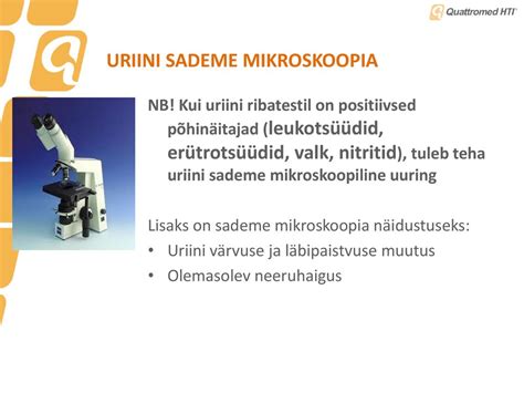 Uriini ribaanalüüs ja sademe mikroskoopia .